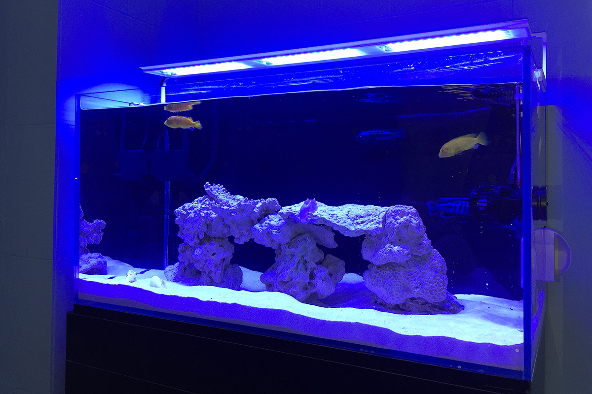 MicMol - G2 Aqua Air Sold over 3000pcs - Led Aquarium Light